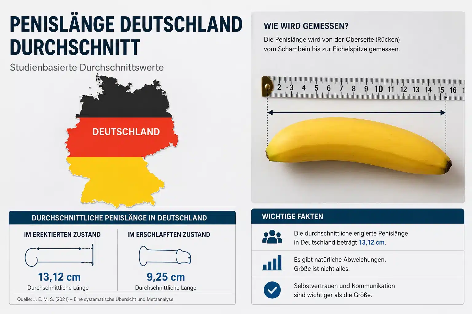 Penis length Germany average – average penis size in erect and relaxed condition with measurement instructions