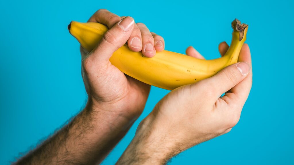 Average penis length