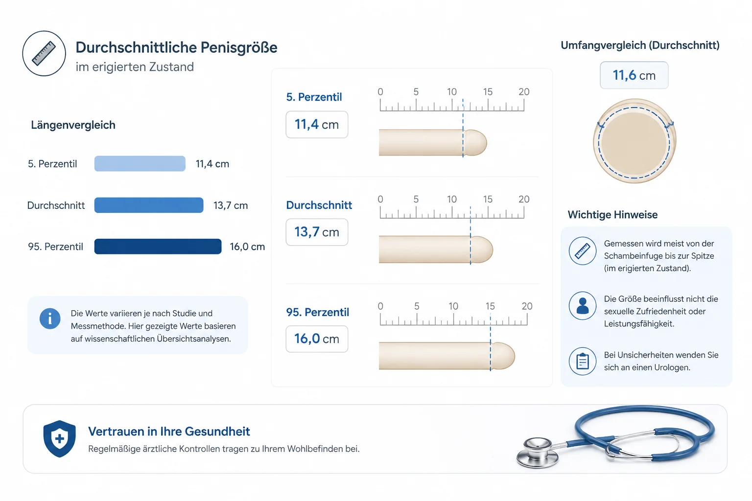 Penisgrösse normal: Penisgröße Durchschnitt im Überblick